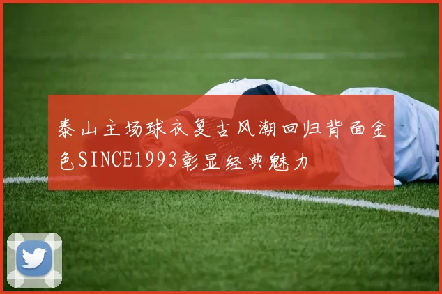 泰山主场球衣复古风潮回归背面金色SINCE1993彰显经典魅力